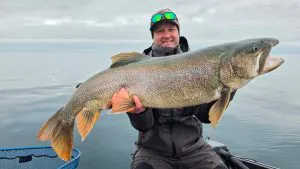 Ce guide sur le lac Supérieur a contribué à battre le record du touladi du Minnesota quatre fois de suite