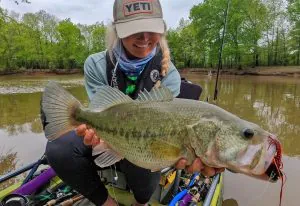 Comment pêcher un Chatterbait