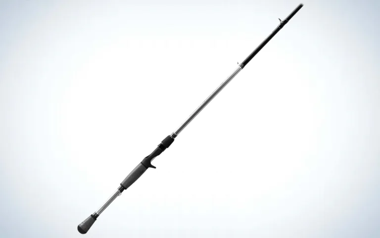 comment pêcher une canne chatterbait