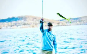 Les 74 meilleures offres du Memorial Day de Tackle Warehouse