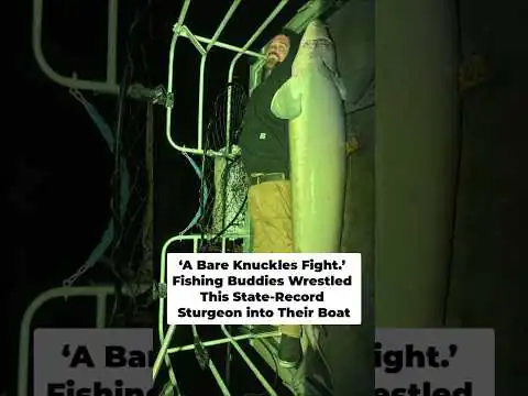 Des amis pêcheurs luttent contre un esturgeon record dans leur bateau sur la rivière à la Pluie miniature
