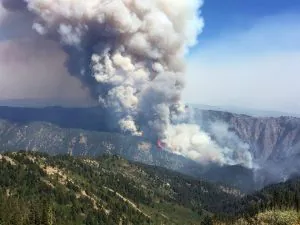 Nous vivons notre pire saison d’incendies de forêt depuis une décennie, et cela va probablement empirer